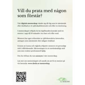 Flyer mentorskap